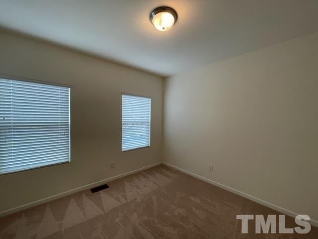 4231 Lofty Ridge Place - Photo 21