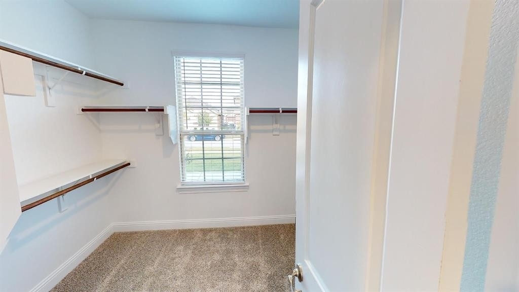 6020 Dandelion Drive - Photo 11