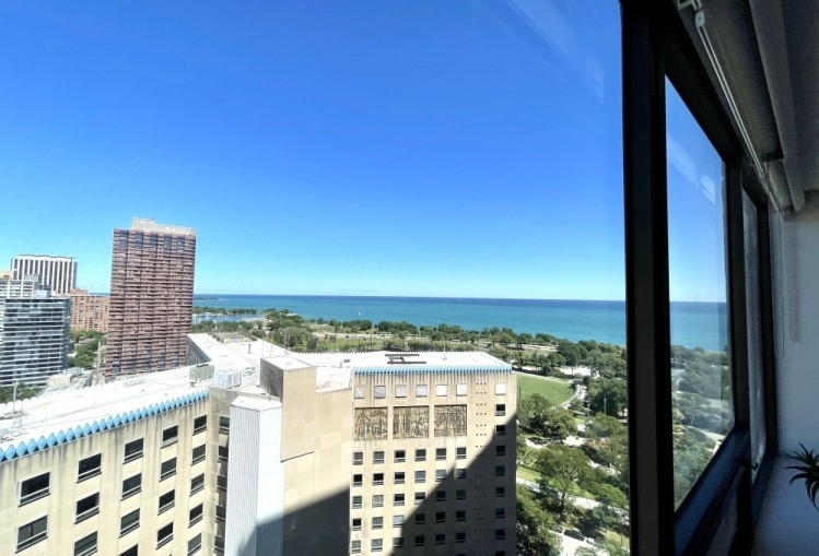 2800 N Lake Shore Drive - Photo 1