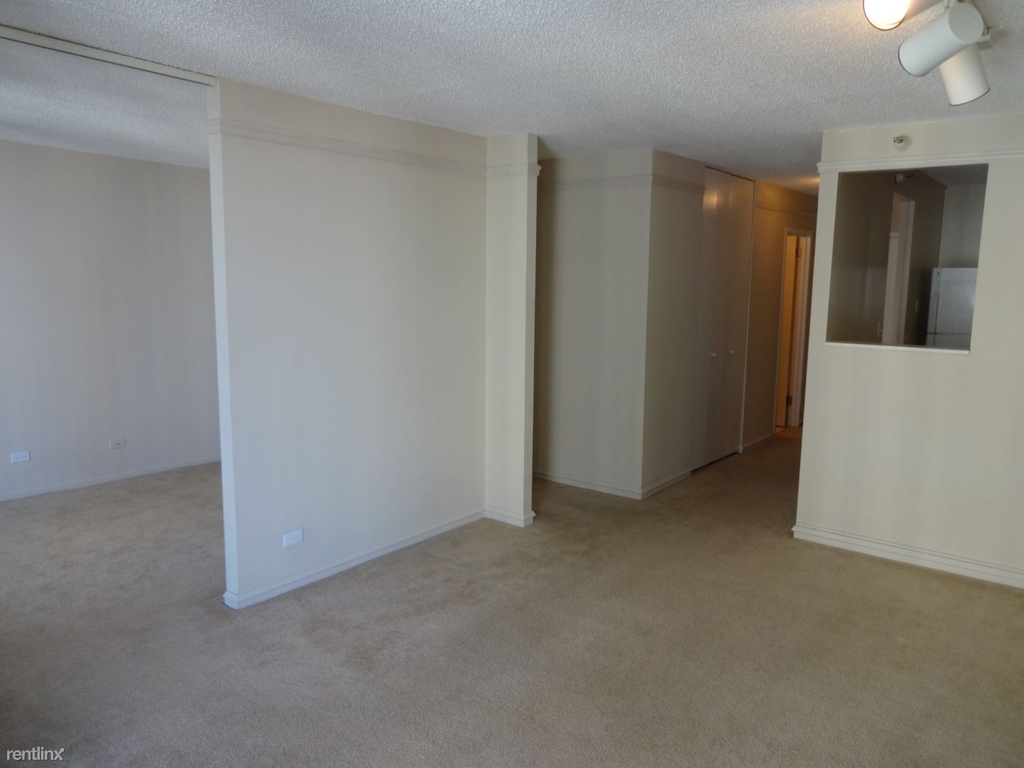 10 E Ontario St Apt 3510 - Photo 5