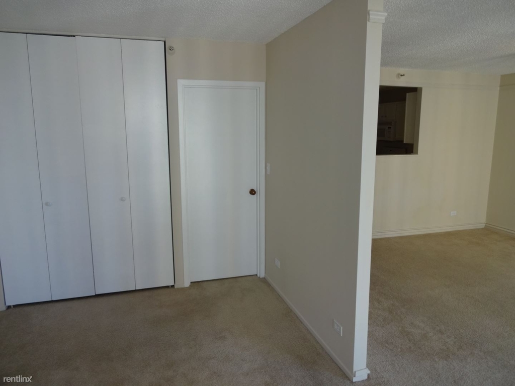 10 E Ontario St Apt 3510 - Photo 1