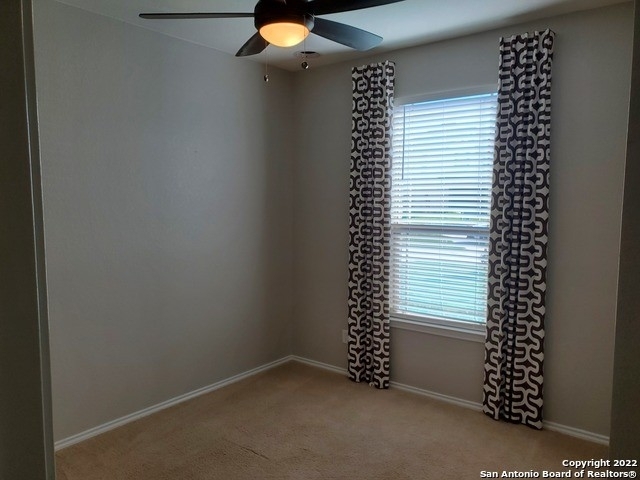 2081 Turkey Creek - Photo 27