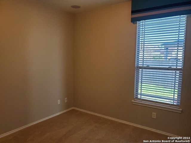 2081 Turkey Creek - Photo 28