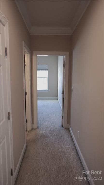 3904 Hounslow Lane - Photo 31