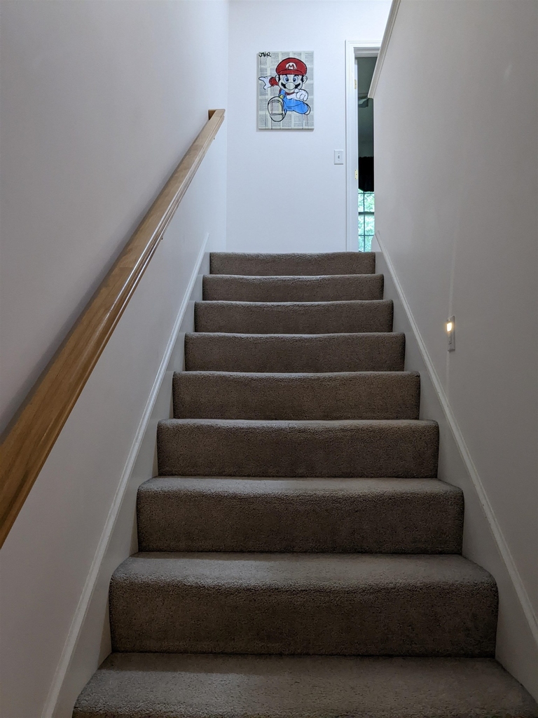 3 Scottie Way - Photo 14