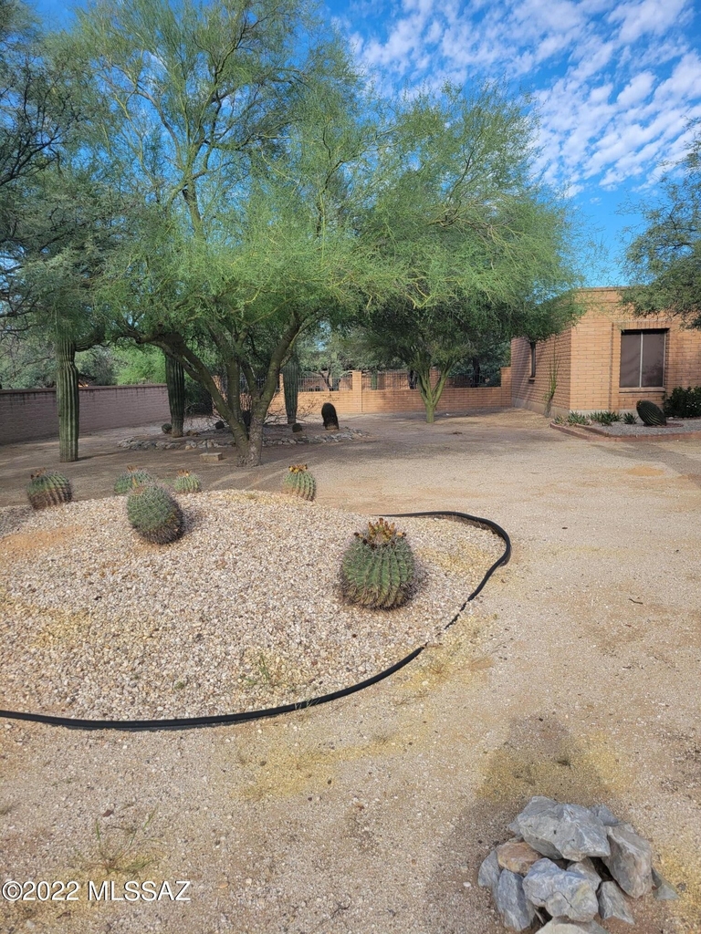 4365 N Banyon Tree Drive - Photo 7