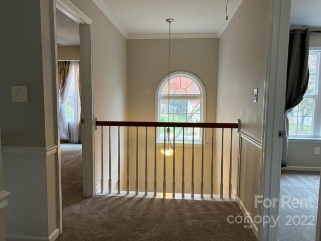 11918 Fox Glen Road - Photo 9