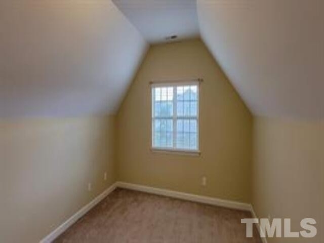 17 Oak Alley Trail - Photo 16