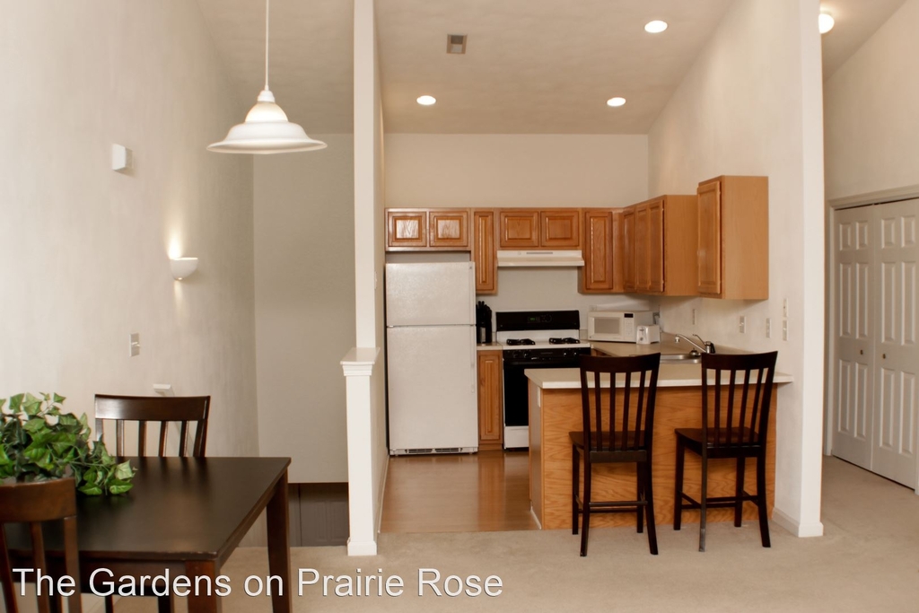 4711 Prairie Rose Drive - Photo 1