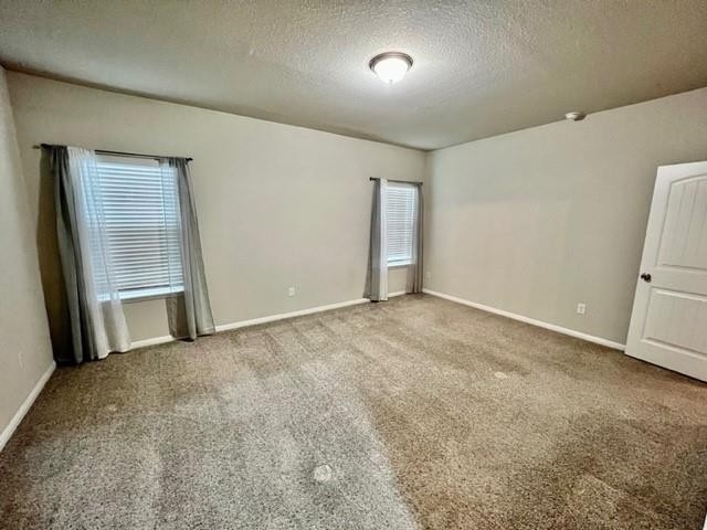 1506  Autumn Sage Way - Photo 14