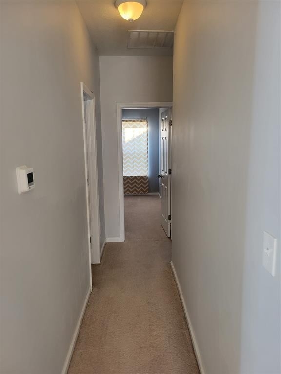 7321 Moultrie Drive - Photo 11