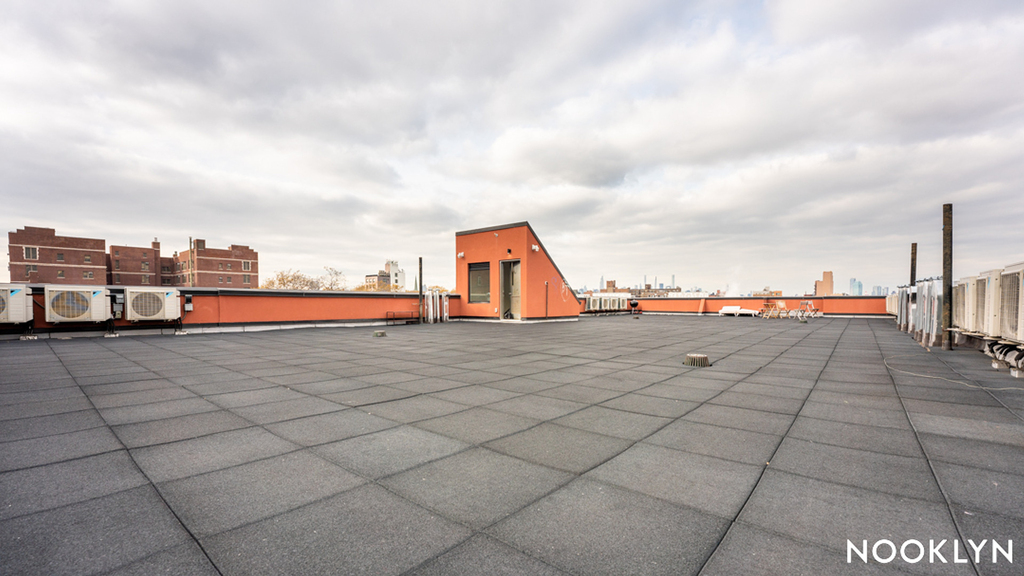 269 Meserole Street - Photo 14