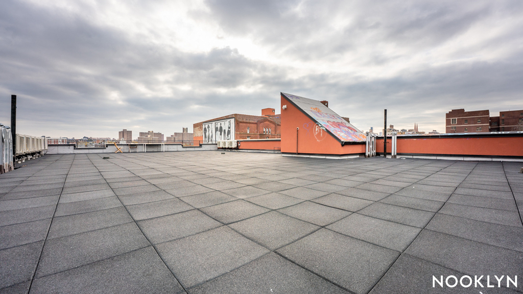 269 Meserole Street - Photo 15