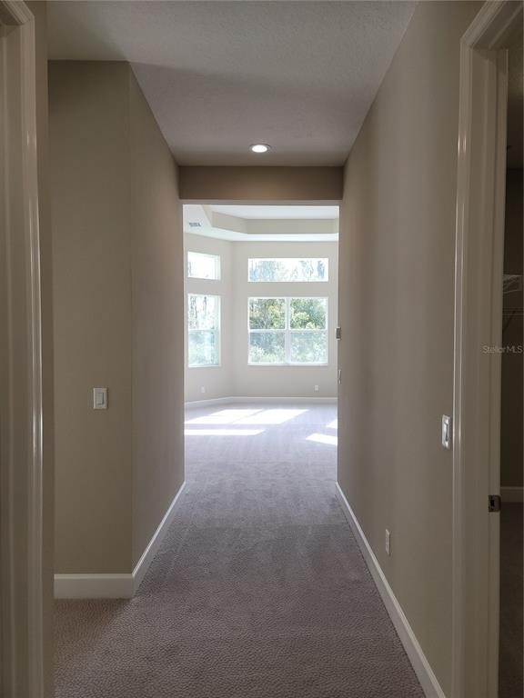 3192 Juniper Springs Street - Photo 6