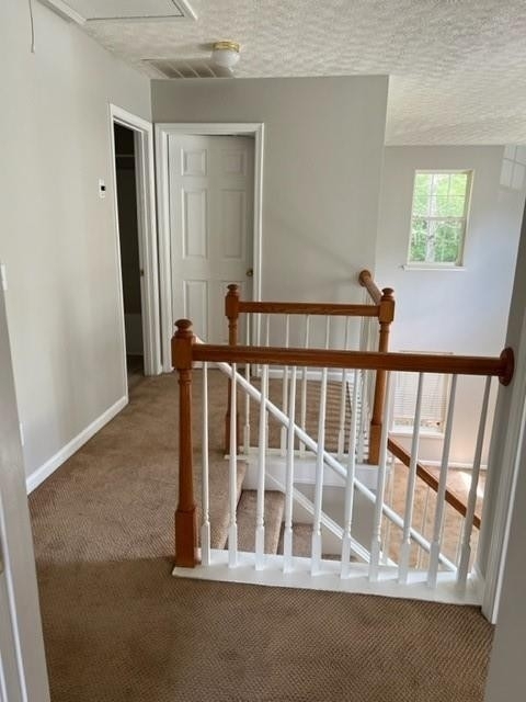 120 Silver Fox Trail - Photo 20