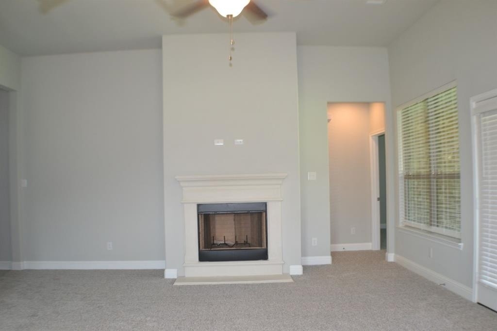 709 Buffalo Creek Drive - Photo 15