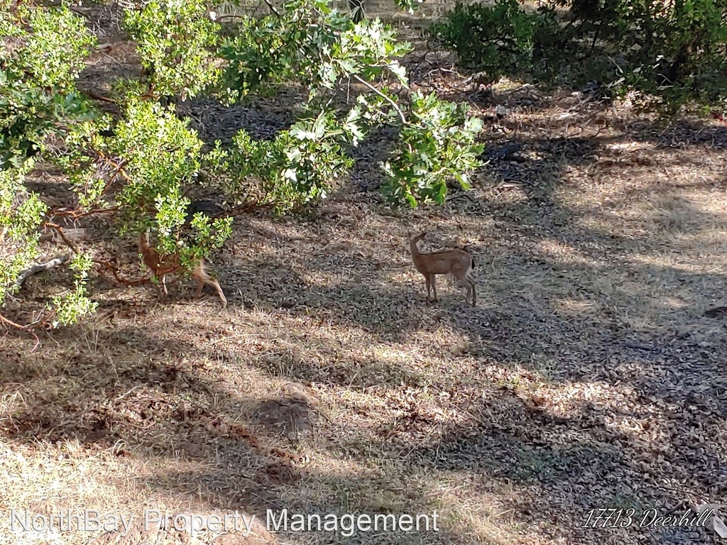 17713 Deer Hill Rd - Photo 16