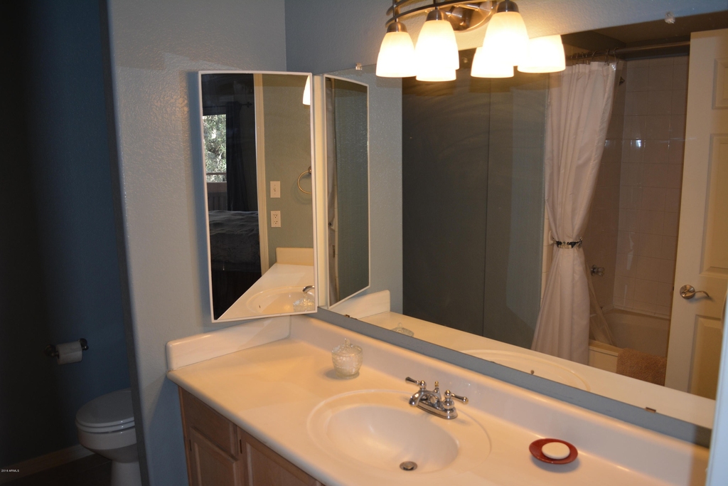 10101 N Arabian Trail - Photo 11