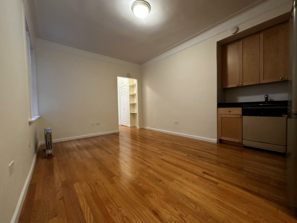 117 West 13th Street - Photo 1