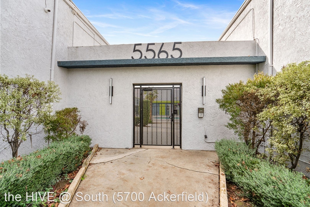 5700 Ackerfield Ave. - Photo 43