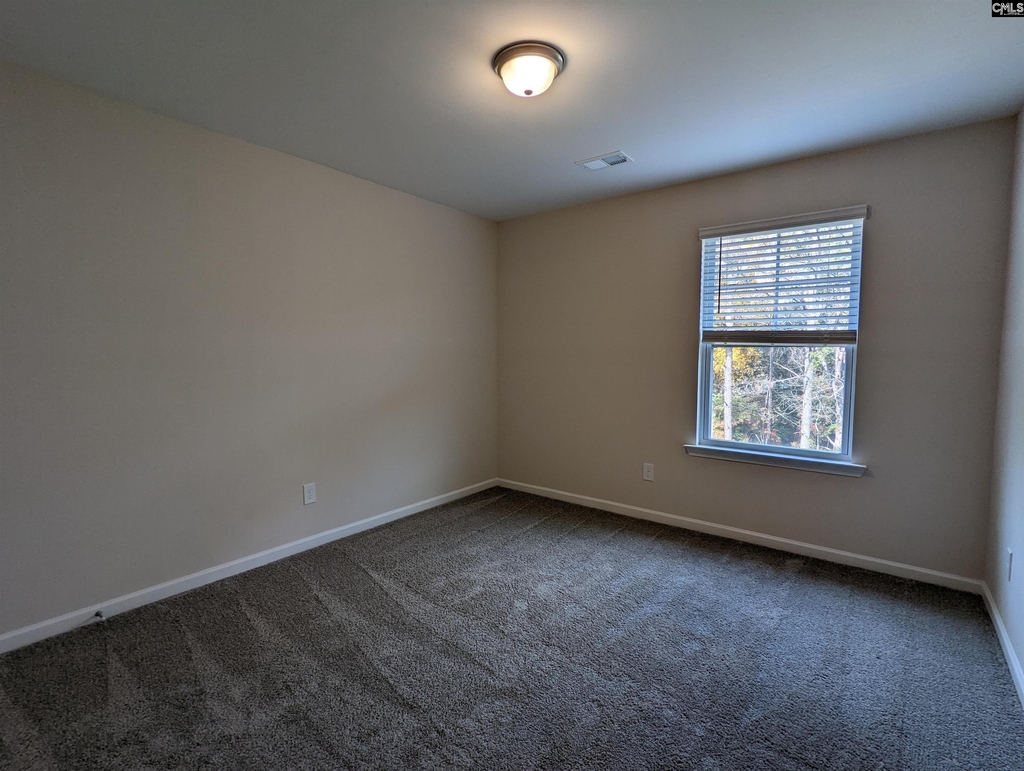 1033 Colony Creek Court - Photo 15