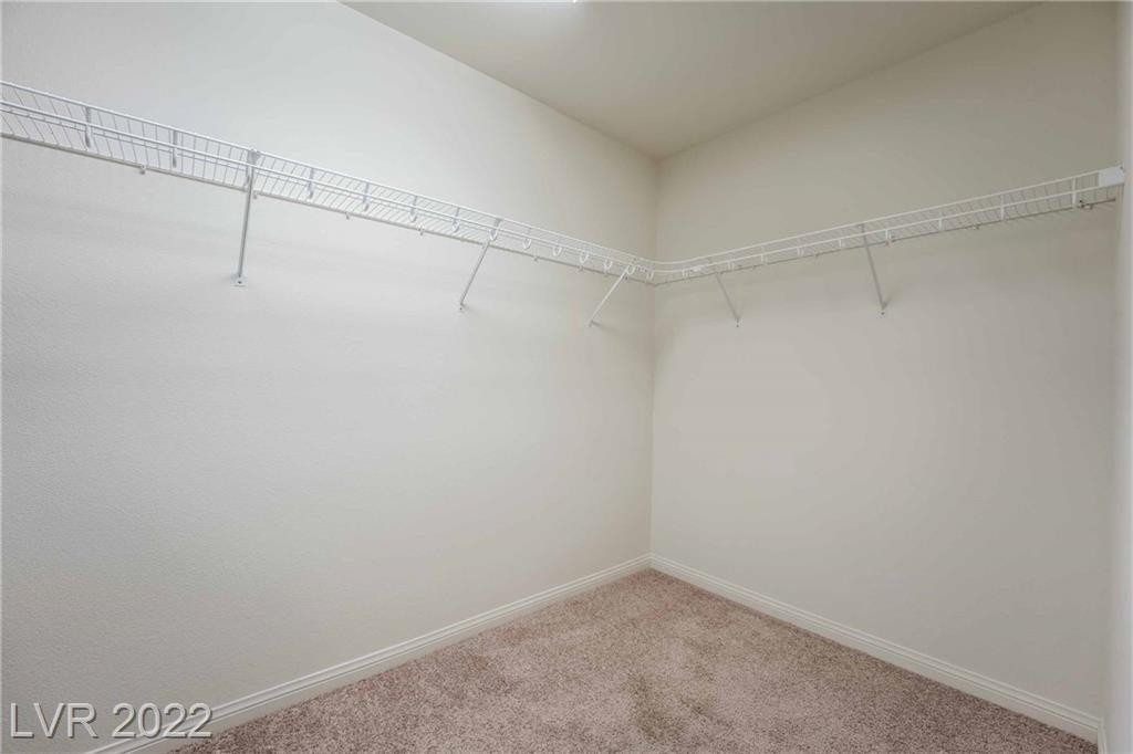 6457 Mustang Spring Avenue - Photo 18