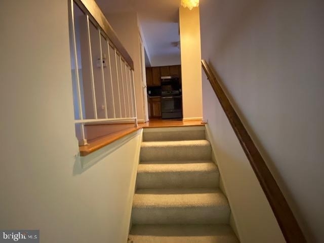 11438 Encore Drive - Photo 2