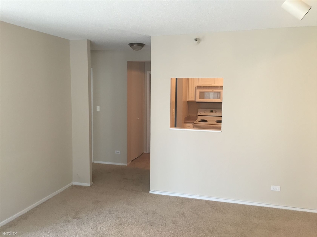 10 E Ontario St Apt 3107 - Photo 2