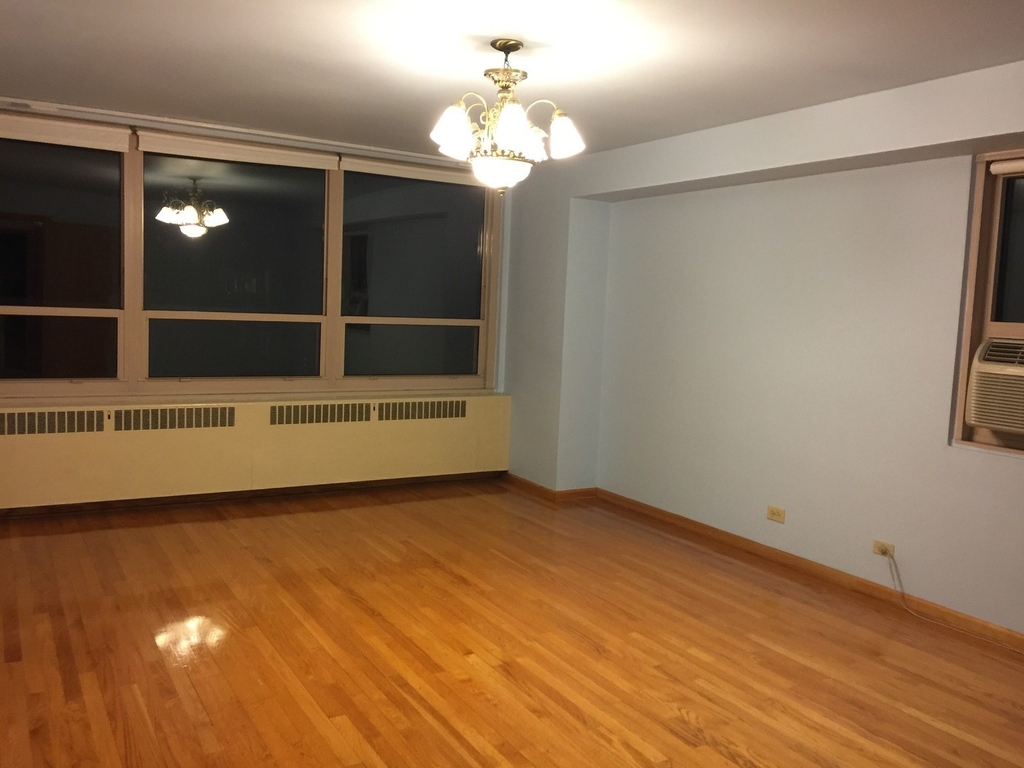 3950 N Lake Shore Drive - Photo 5