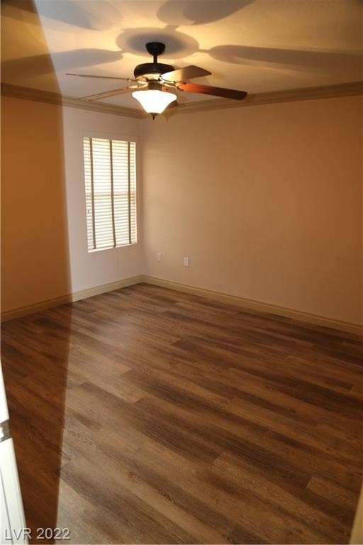 8101 Flamingo Road - Photo 13