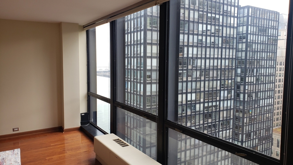 900 N Lake Shore Drive - Photo 5