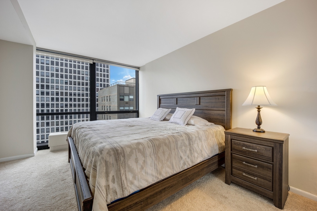 900 N Lake Shore Drive - Photo 10