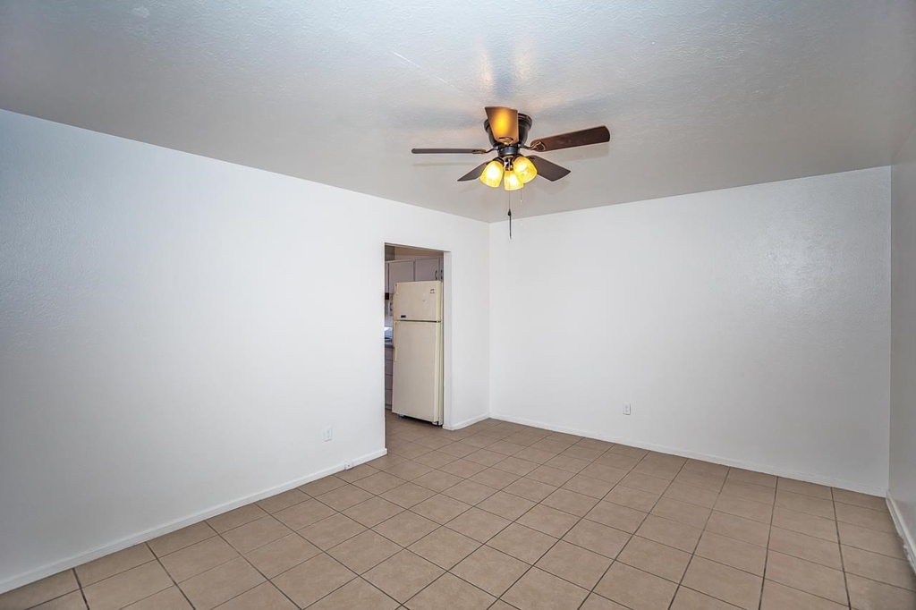 250 W Catalina Dr - Photo 4