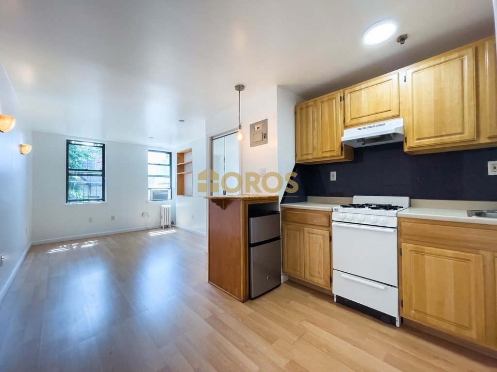 234 East 7th Street - Photo 4