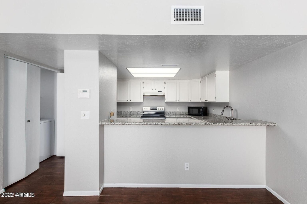 2019 W Lemon Tree Place - Photo 4