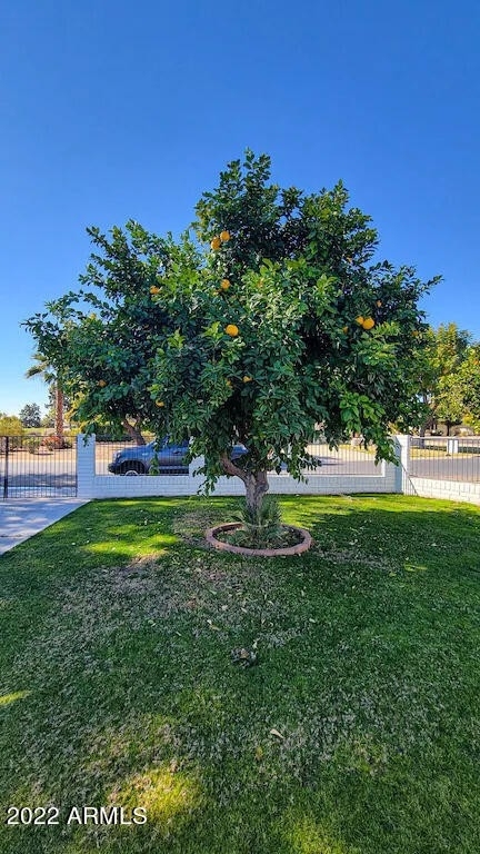 1081 N Oro Vista Court - Photo 31