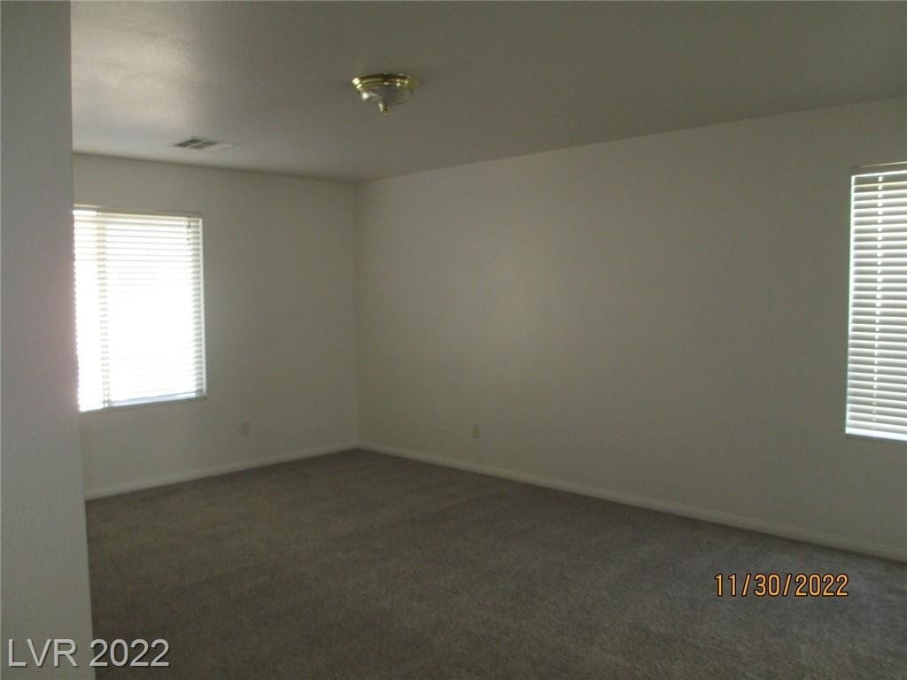 10963 Carberry Hill Street - Photo 21