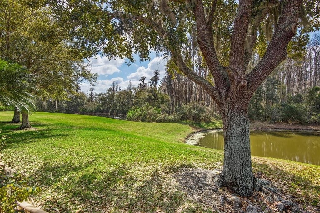 30419 Lettingwell Circle - Photo 22