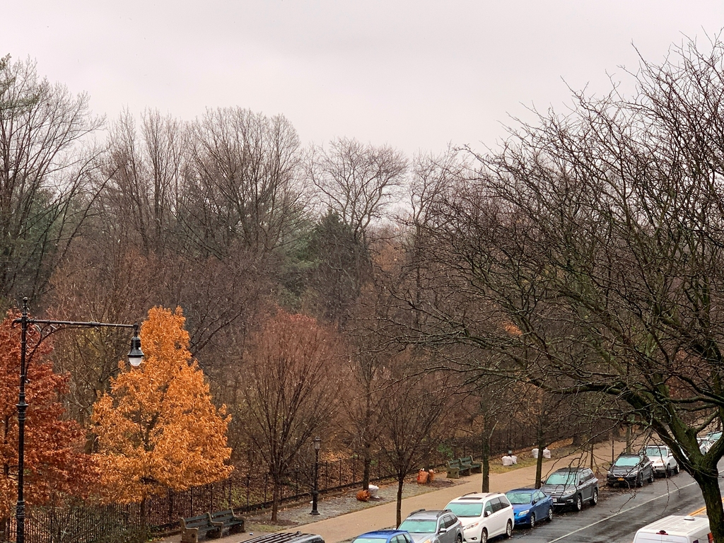 Windsor Terrace at the very Prospect Park  - Photo 3