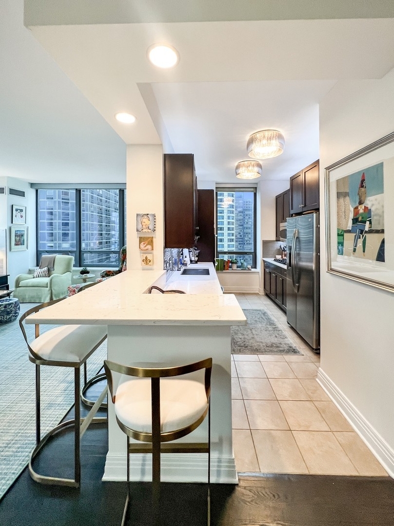 600 N Lake Shore Drive - Photo 36