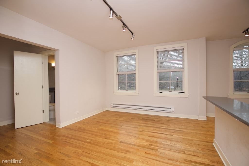 2420 N. Kedzie, Unit 201 - Photo 10