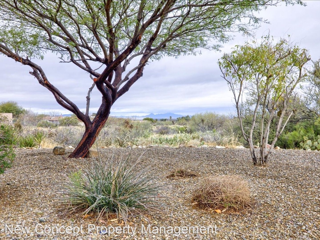 574 S Desert Haven Rd - Photo 4