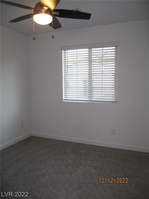 745 Pickled Pepper Place - Photo 20