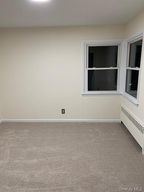 1205 Park Avenue - Photo 12