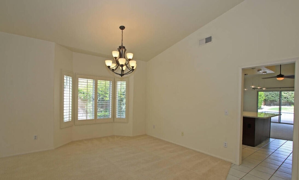 41115 Carlotta Drive - Photo 12