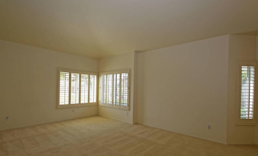 41115 Carlotta Drive - Photo 10