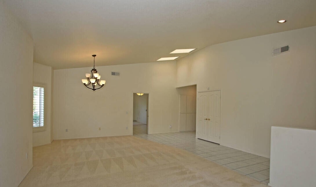 41115 Carlotta Drive - Photo 9