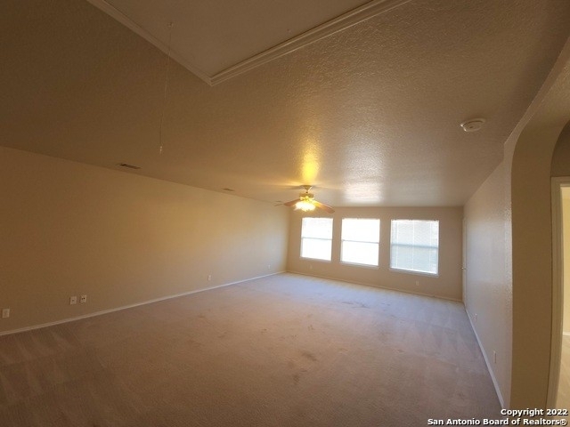 21215 Encino Ash - Photo 15