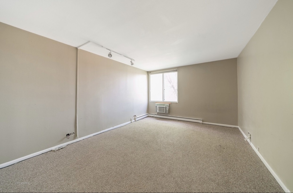 1117 Leavitt Avenue - Photo 1