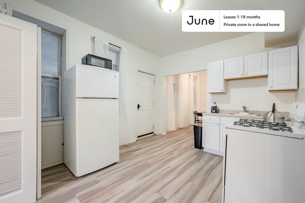 1012 West Cullerton Street - Photo 1